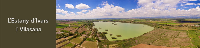 L'ESTANY D'IVARS I VILASANA